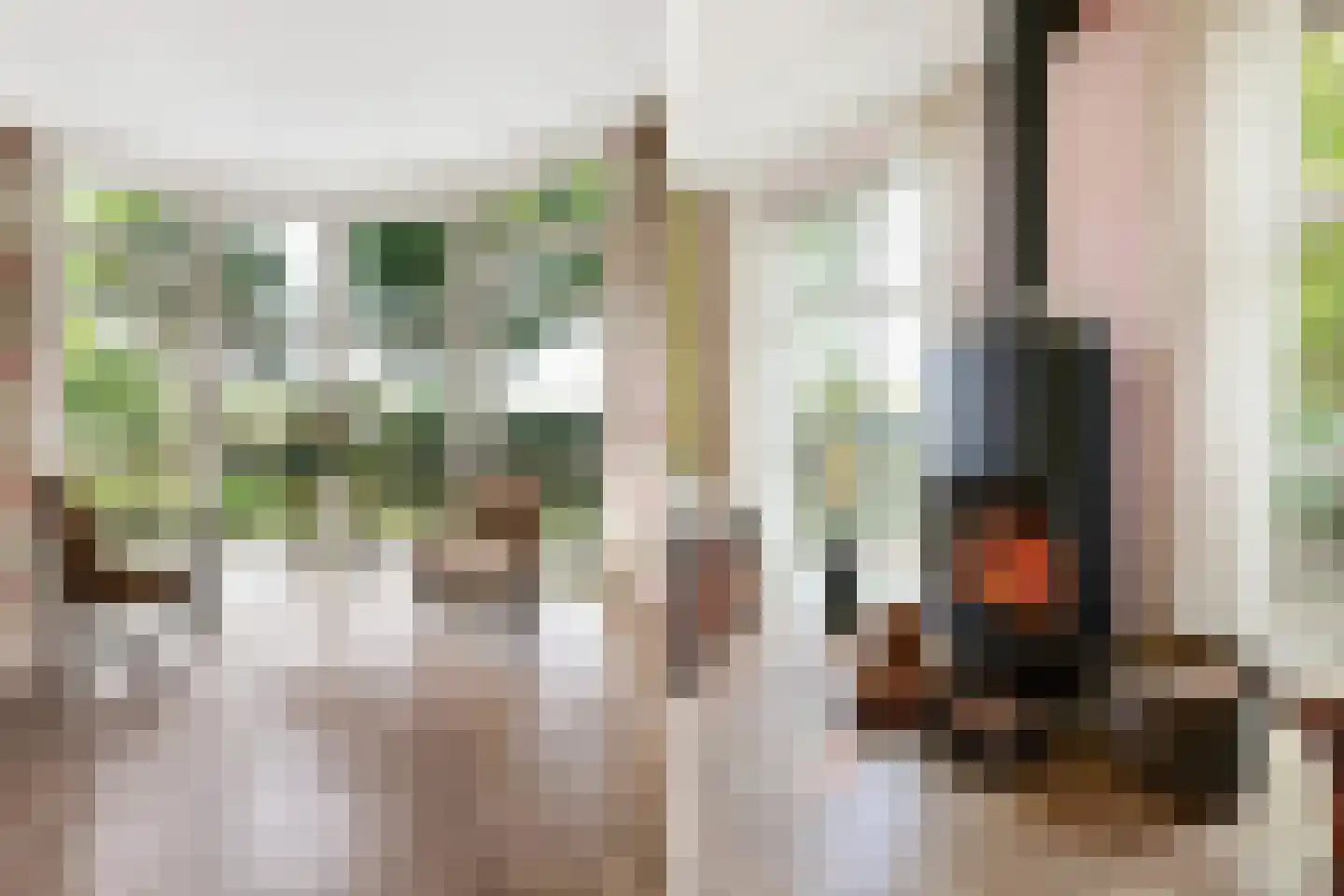 Ebbenerve 21 Oosterwolde Gld thumbnail 14