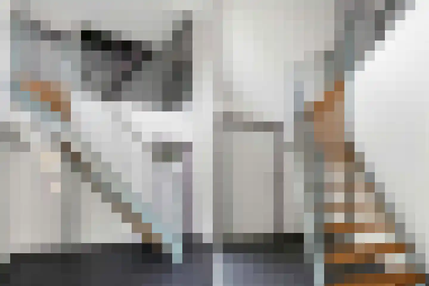 Ebbenerve 21 Oosterwolde Gld thumbnail 23