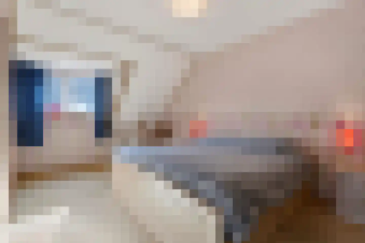 Ebbenerve 21 Oosterwolde Gld thumbnail 27
