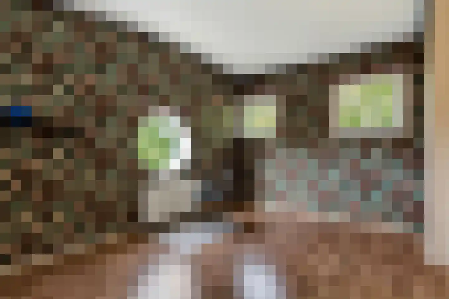 Ebbenerve 21 Oosterwolde Gld thumbnail 34