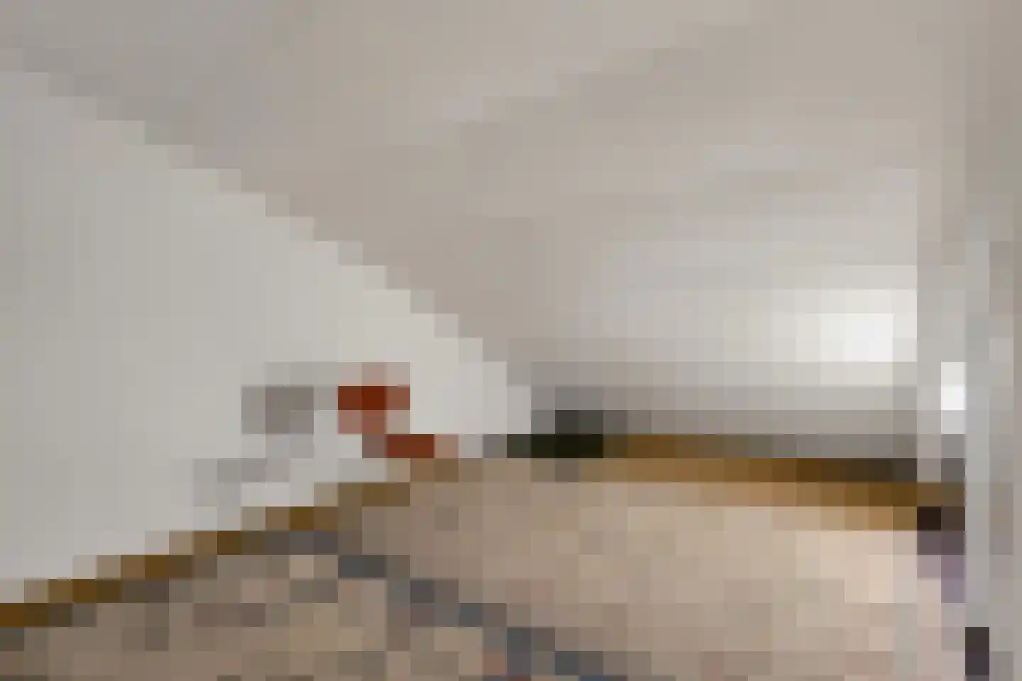 Ebbenerve 21 Oosterwolde Gld thumbnail 38