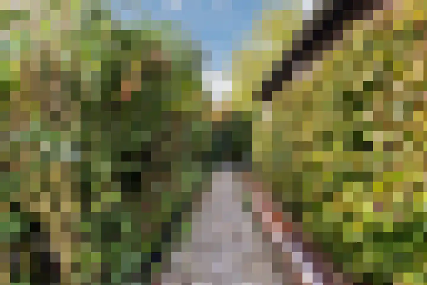 Ebbenerve 21 Oosterwolde Gld thumbnail 41