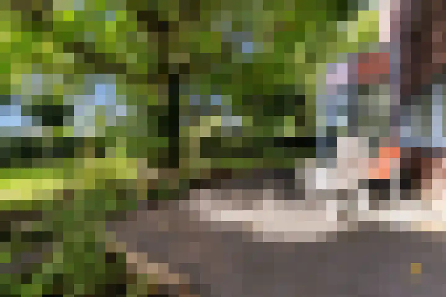 Ebbenerve 21 Oosterwolde Gld thumbnail 42