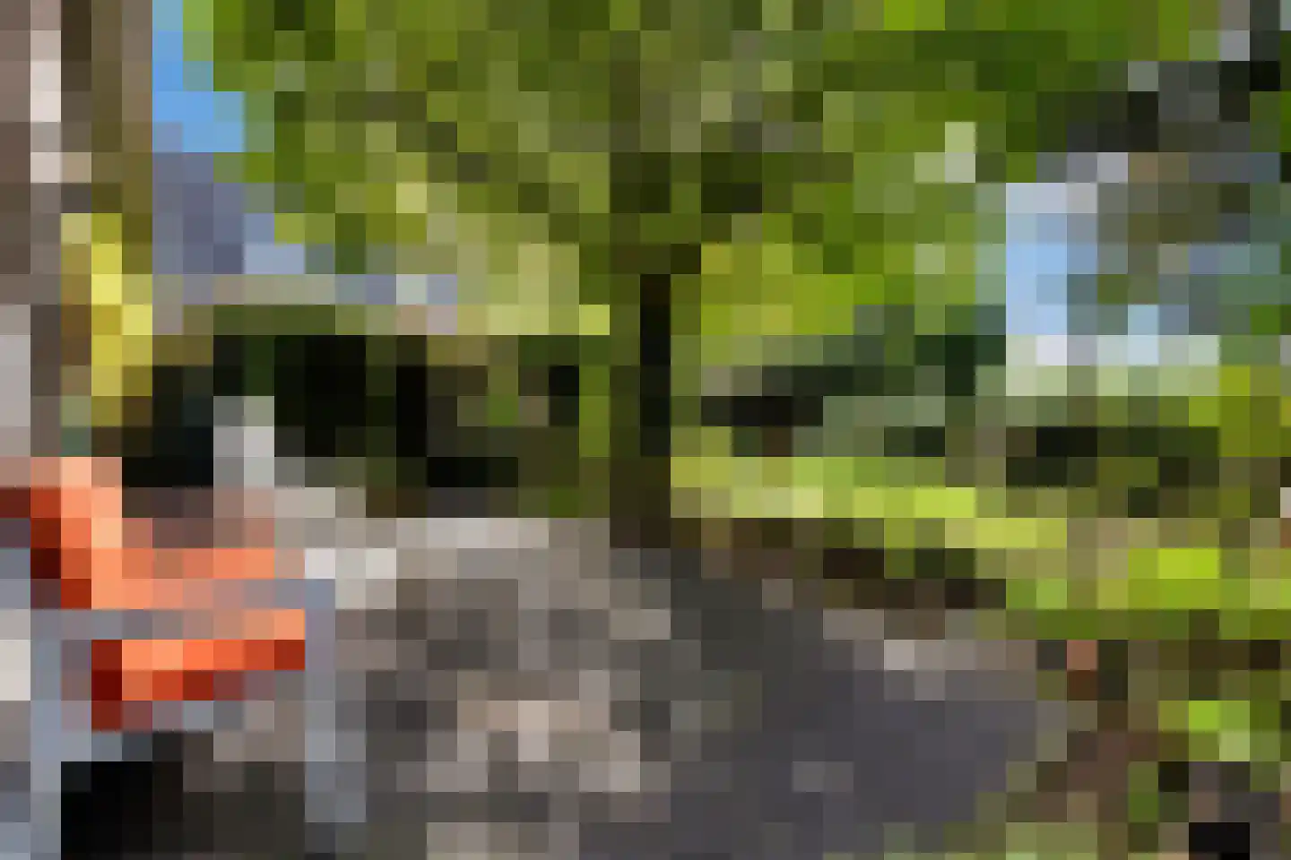 Ebbenerve 21 Oosterwolde Gld thumbnail 43