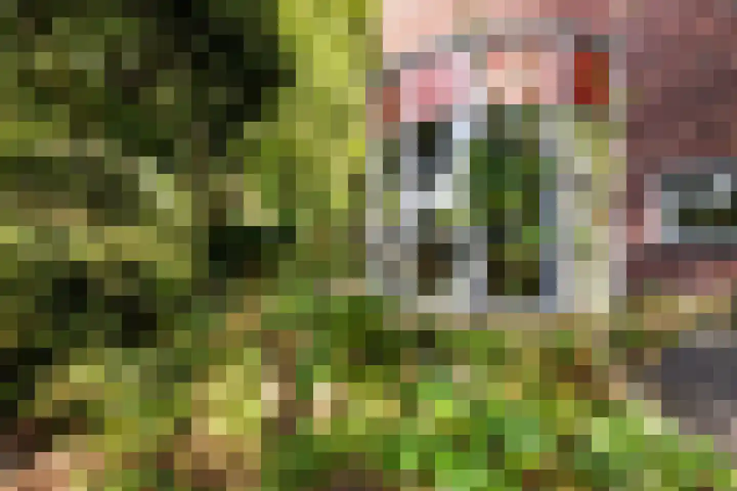 Ebbenerve 21 Oosterwolde Gld thumbnail 45