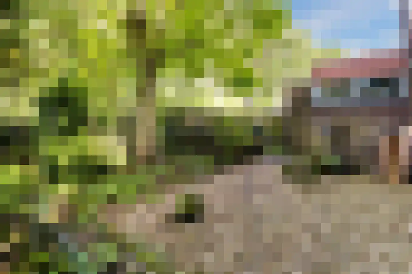 Ebbenerve 21 Oosterwolde Gld thumbnail 46