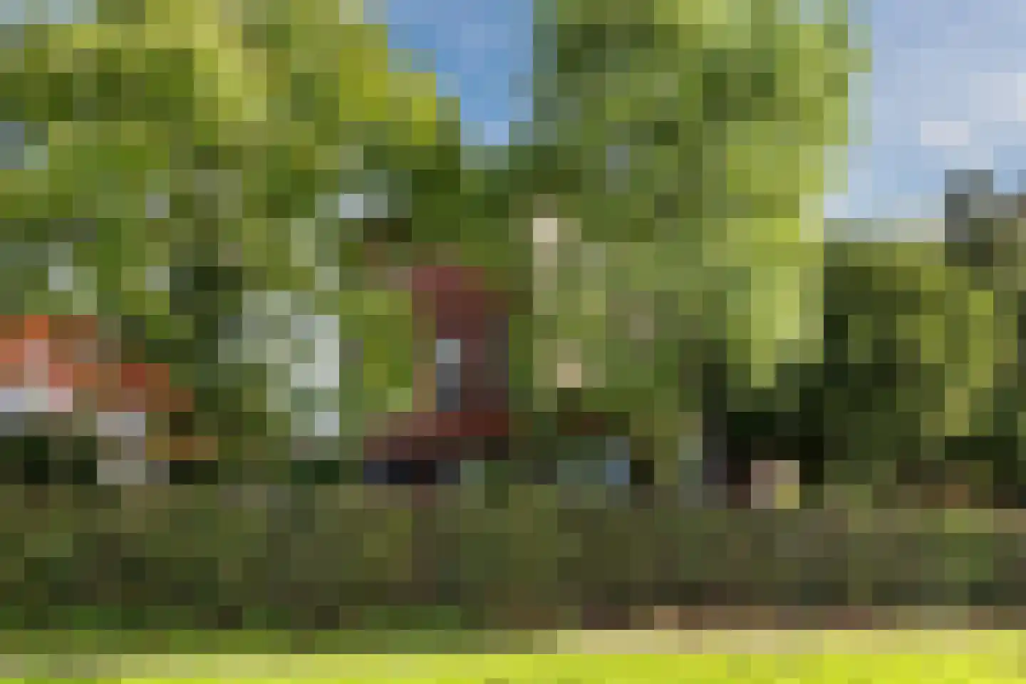 Ebbenerve 21 Oosterwolde Gld thumbnail 48