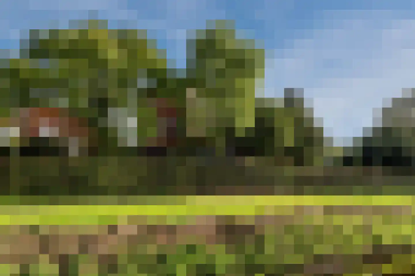 Ebbenerve 21 Oosterwolde Gld thumbnail 49