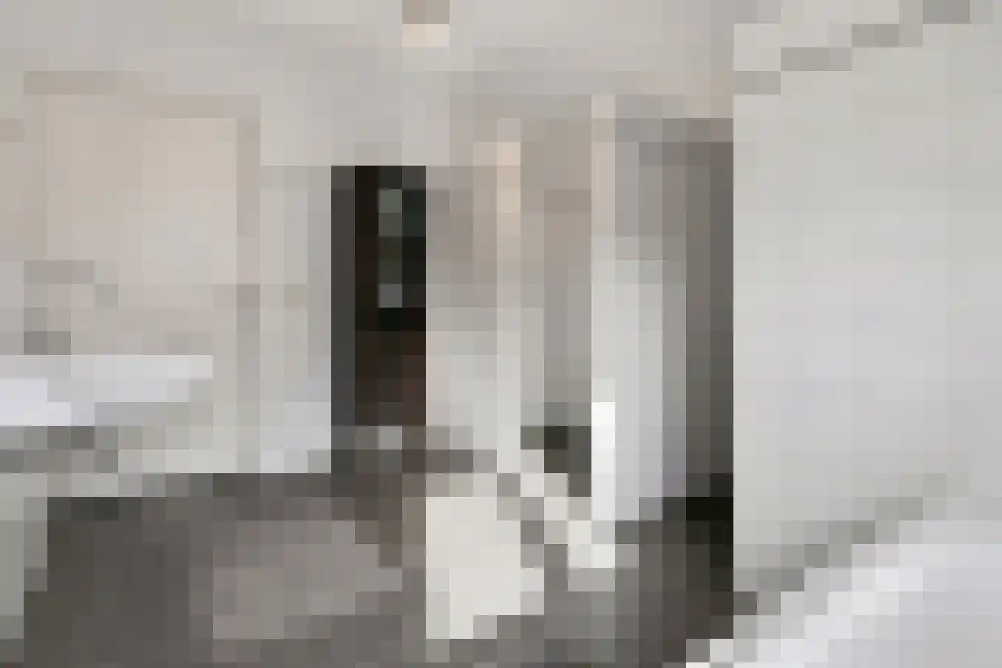 Ebbenerve 21 Oosterwolde Gld thumbnail 5