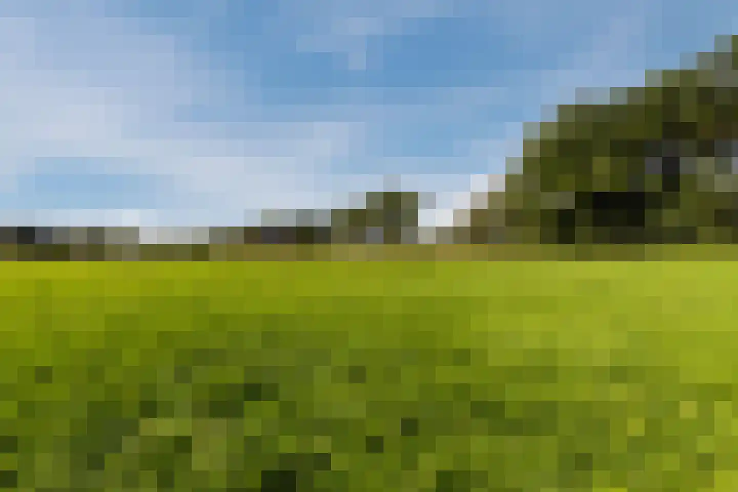Ebbenerve 21 Oosterwolde Gld thumbnail 50