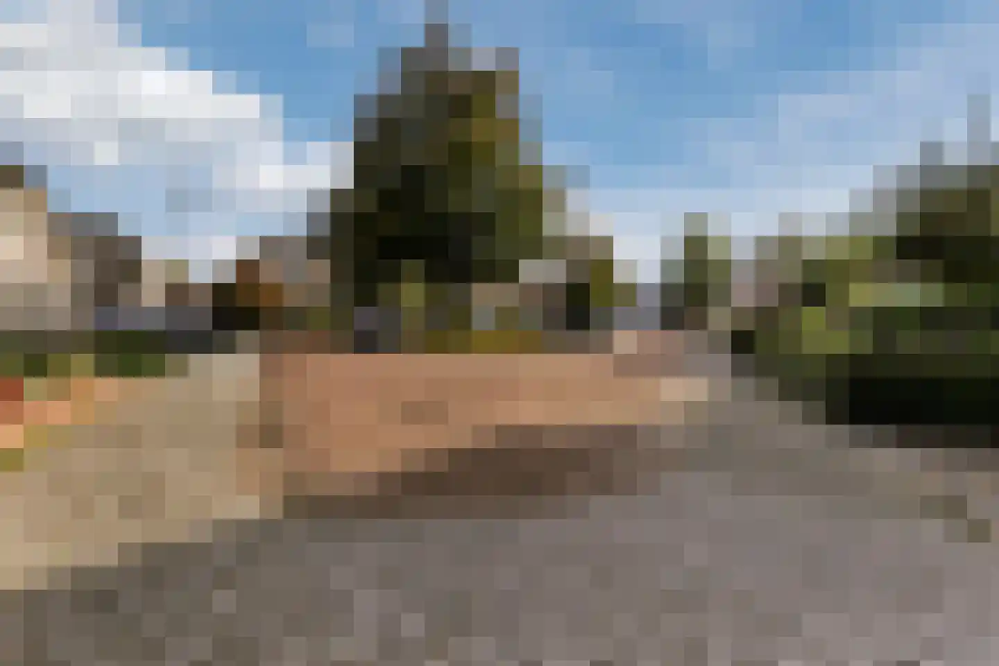 Ebbenerve 21 Oosterwolde Gld thumbnail 51