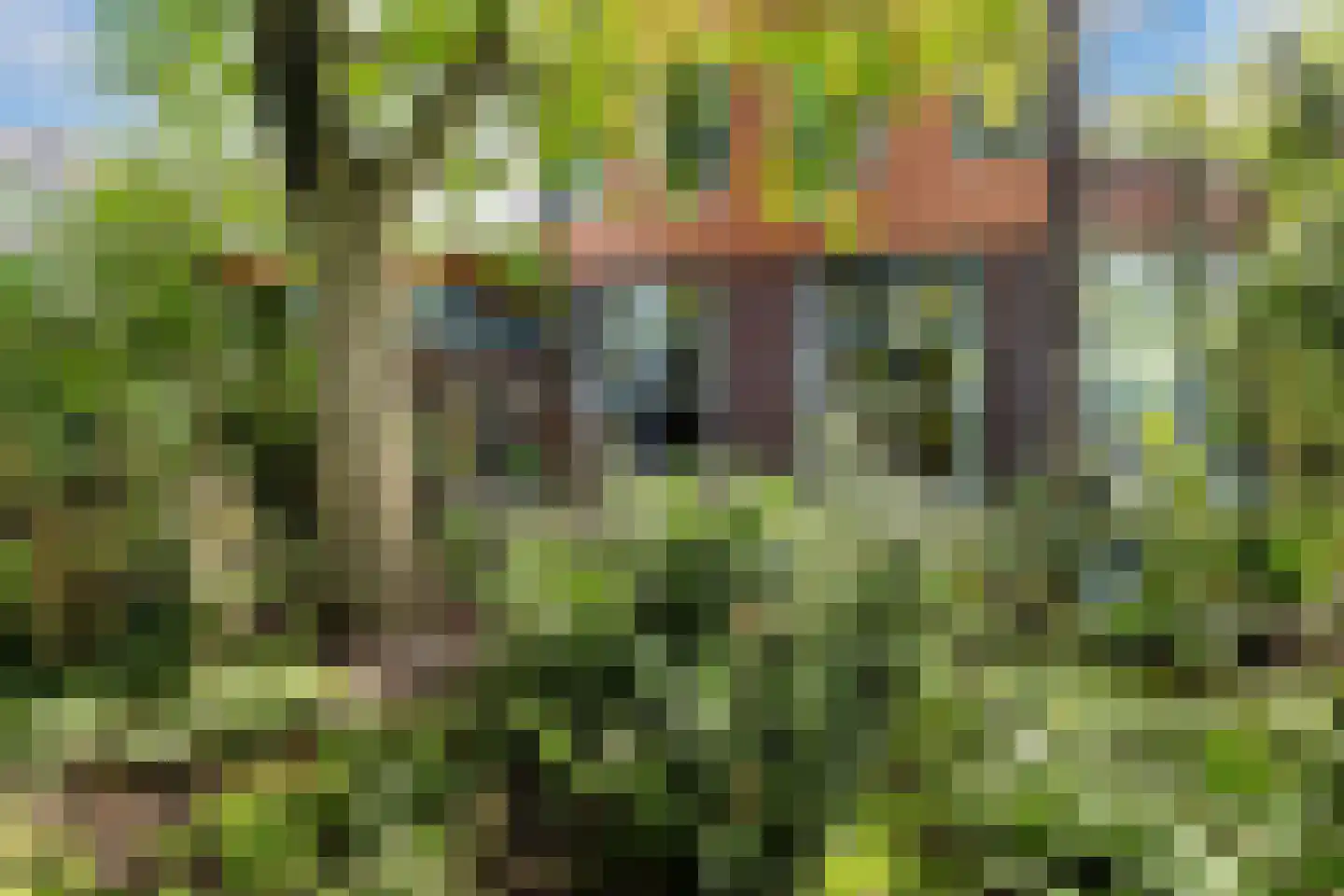 Ebbenerve 21 Oosterwolde Gld thumbnail 6