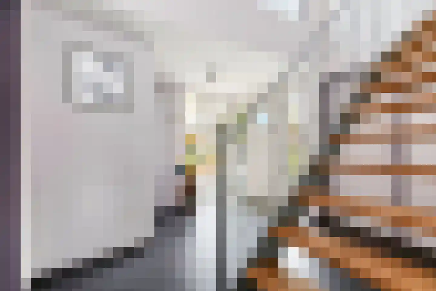 Ebbenerve 21 Oosterwolde Gld thumbnail 8