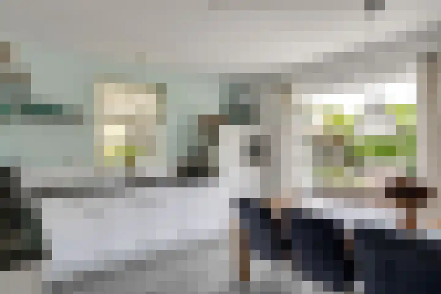 Ebbenerve 6 Oosterwolde Gld thumbnail 24