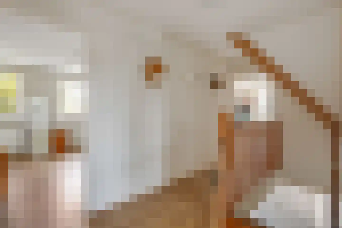 Ebbenerve 6 Oosterwolde Gld thumbnail 28
