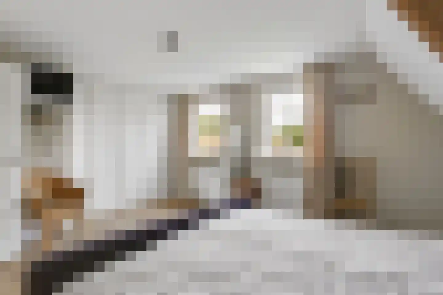 Ebbenerve 6 Oosterwolde Gld thumbnail 40