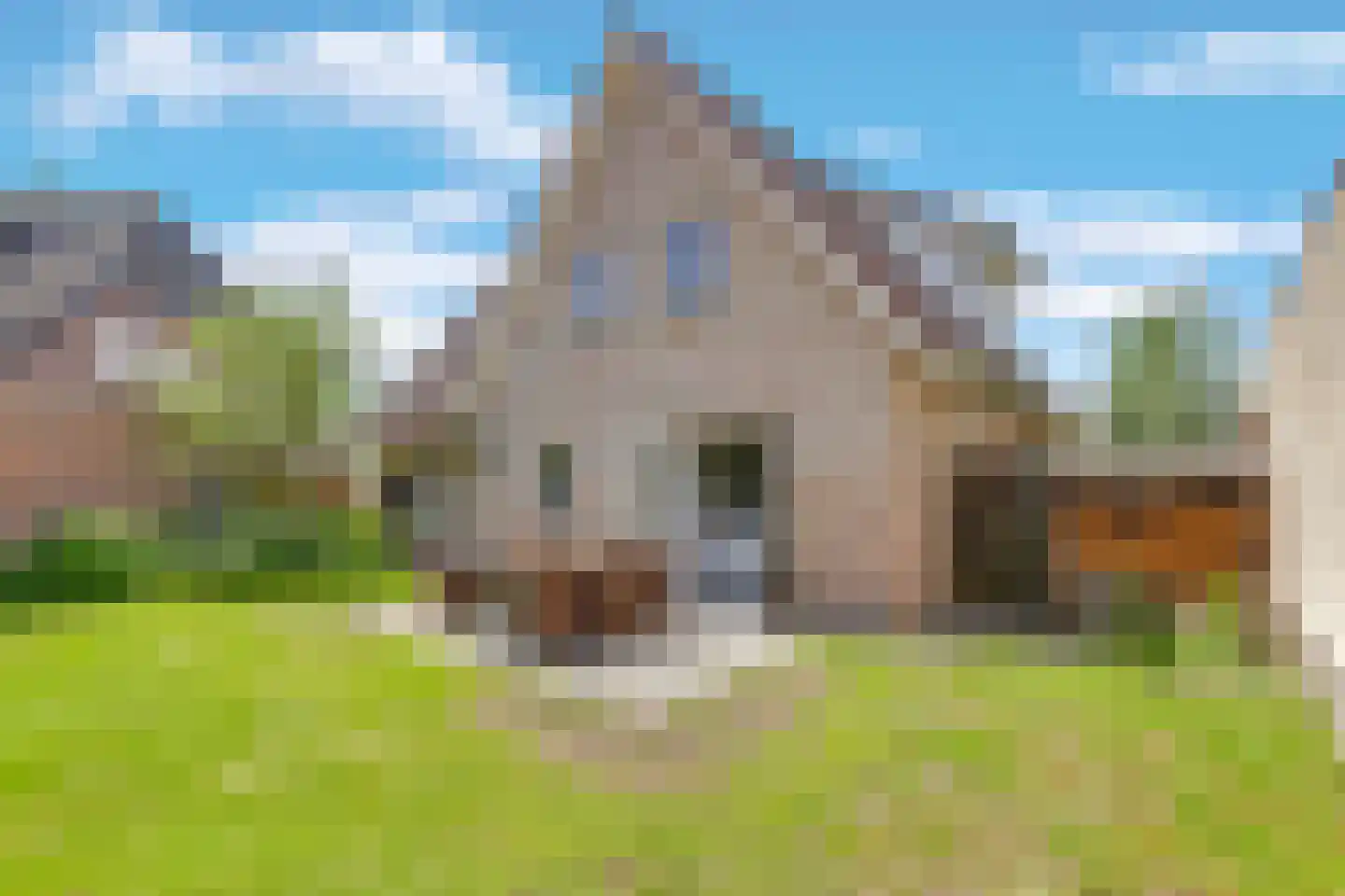 Ebbenerve 6 Oosterwolde Gld thumbnail 43