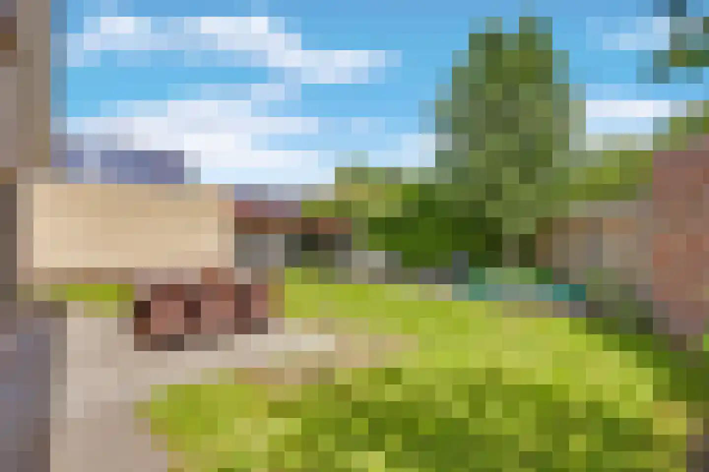 Ebbenerve 6 Oosterwolde Gld thumbnail 45
