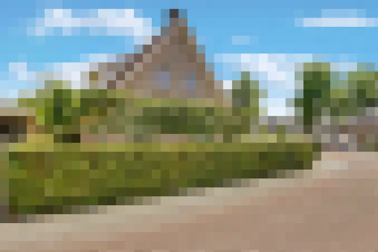 Ebbenerve 6 Oosterwolde Gld thumbnail 50