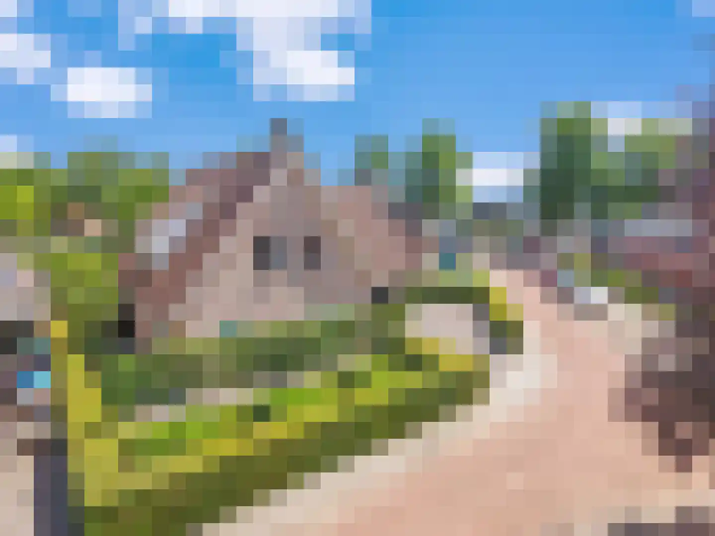 Ebbenerve 6 Oosterwolde Gld thumbnail 51
