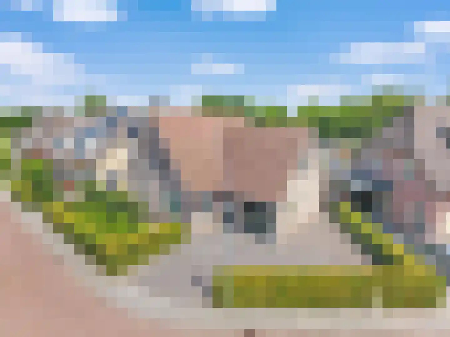 Ebbenerve 6 Oosterwolde Gld thumbnail 52