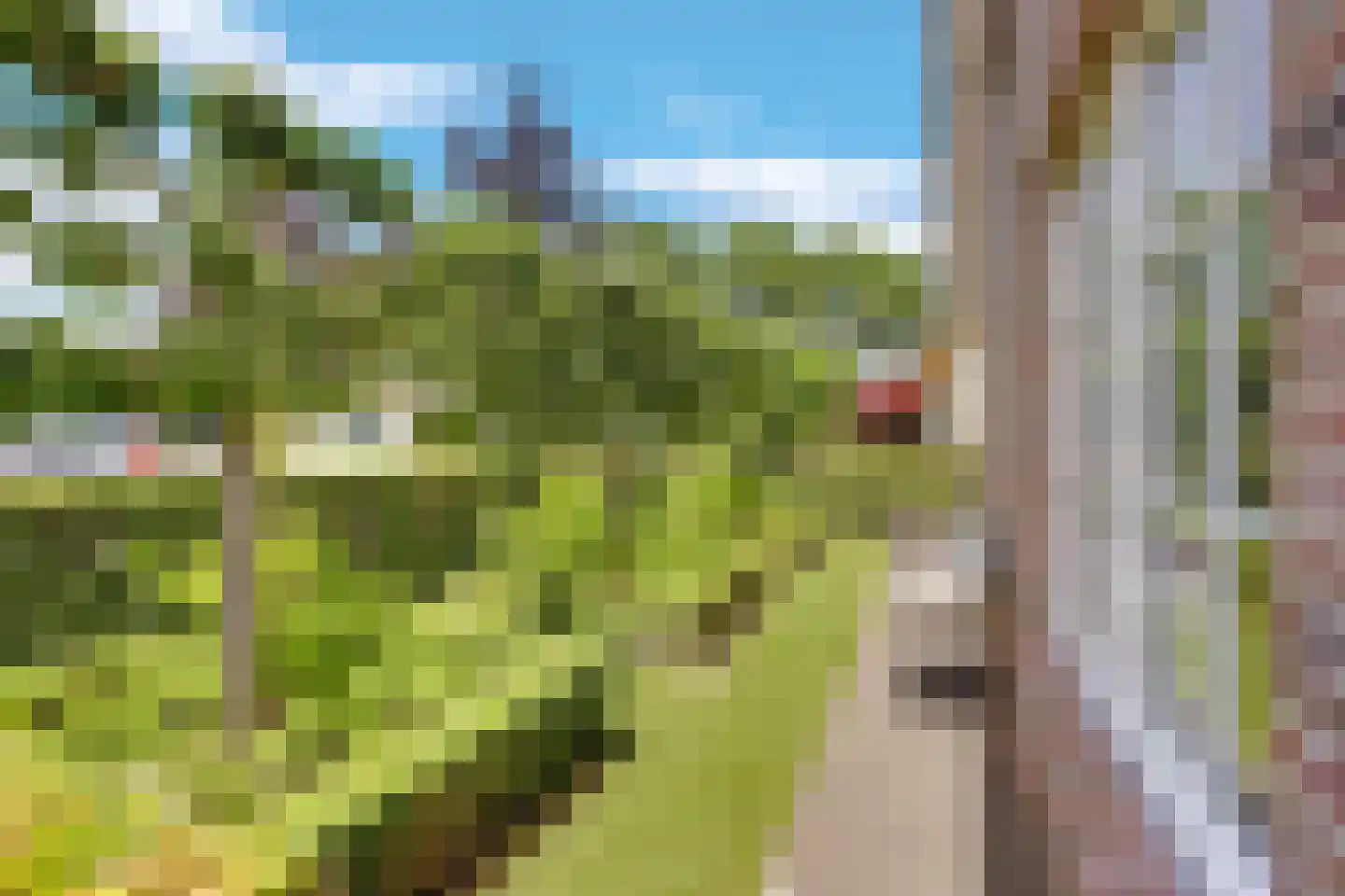 Ebbenerve 6 Oosterwolde Gld thumbnail 7