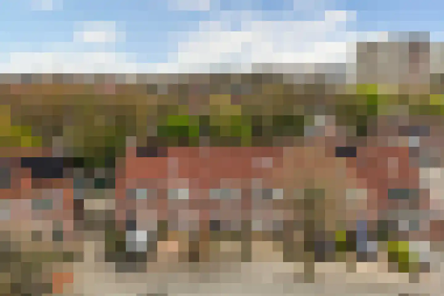 Ebbenhorst 28 Veenendaal thumbnail 46