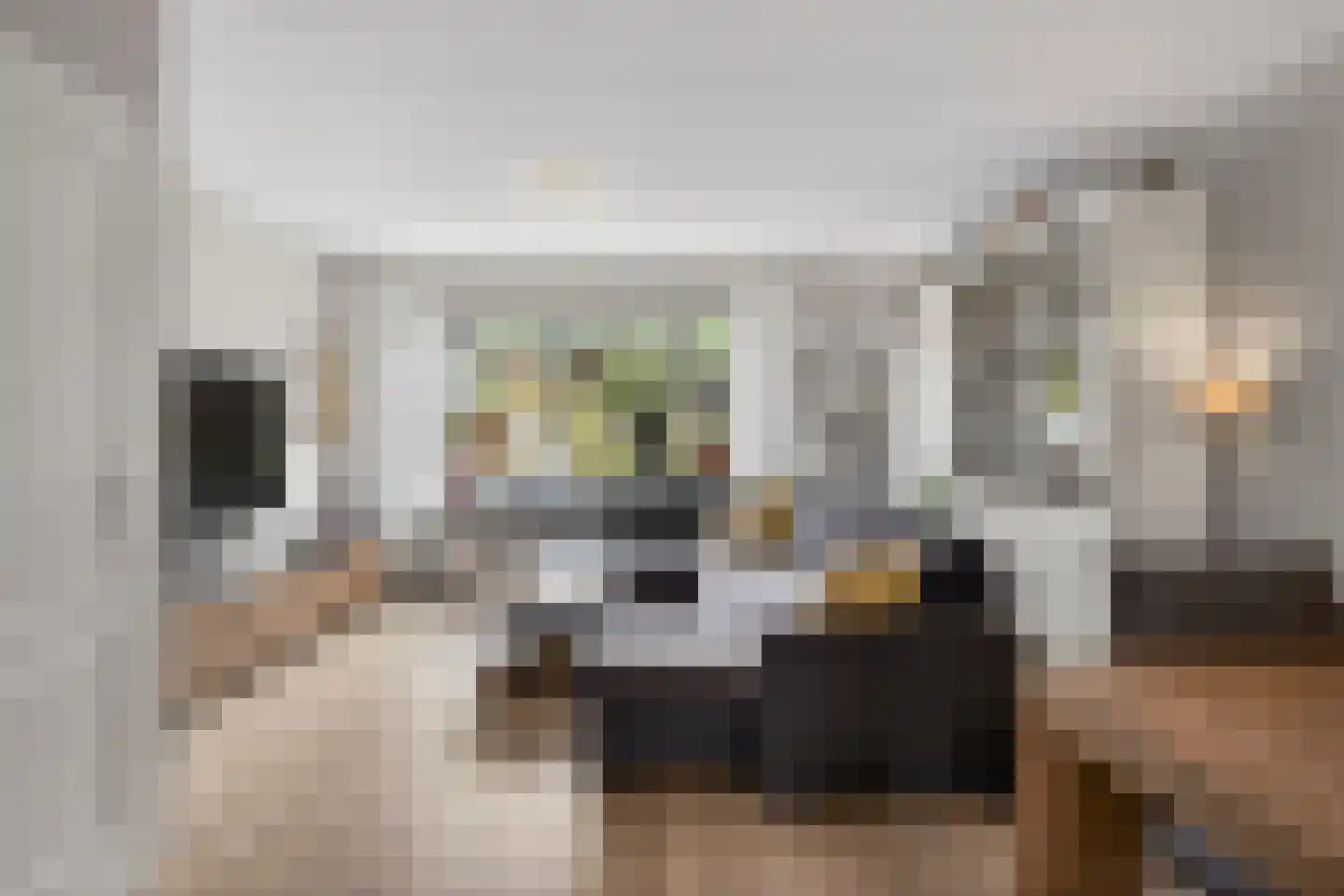 Ebbenhorst 28 Veenendaal thumbnail 5
