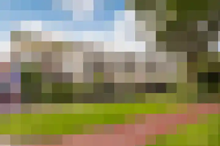 Ebbenhorst 35 B Veenendaal thumbnail 37