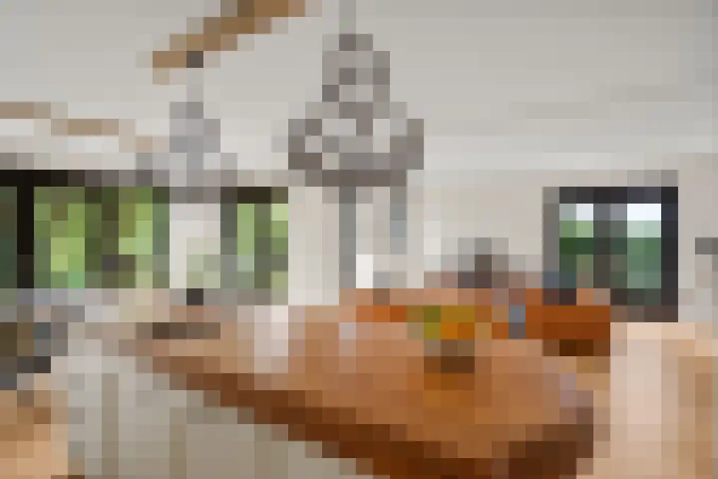 Ebbenhout 12 Houten thumbnail 12