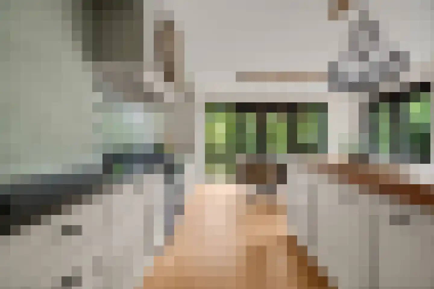 Ebbenhout 12 Houten thumbnail 13