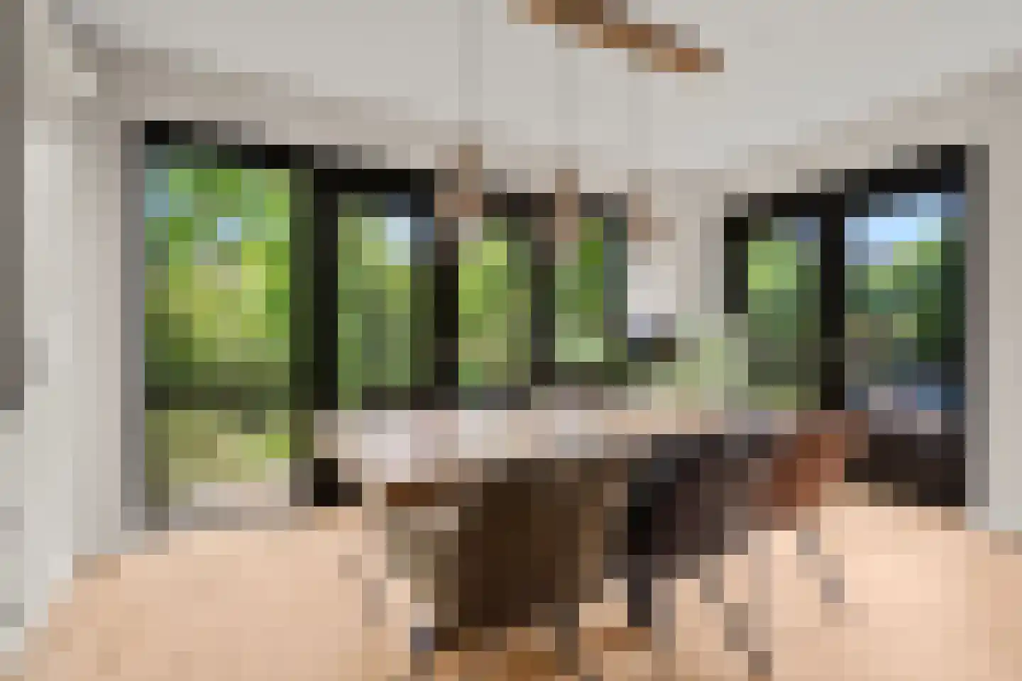Ebbenhout 12 Houten thumbnail 15