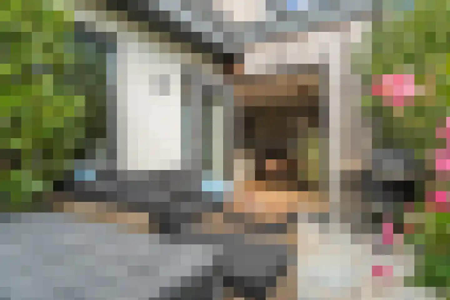Ebbenhout 12 Houten thumbnail 19