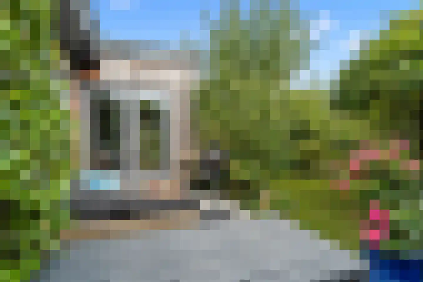 Ebbenhout 12 Houten thumbnail 20