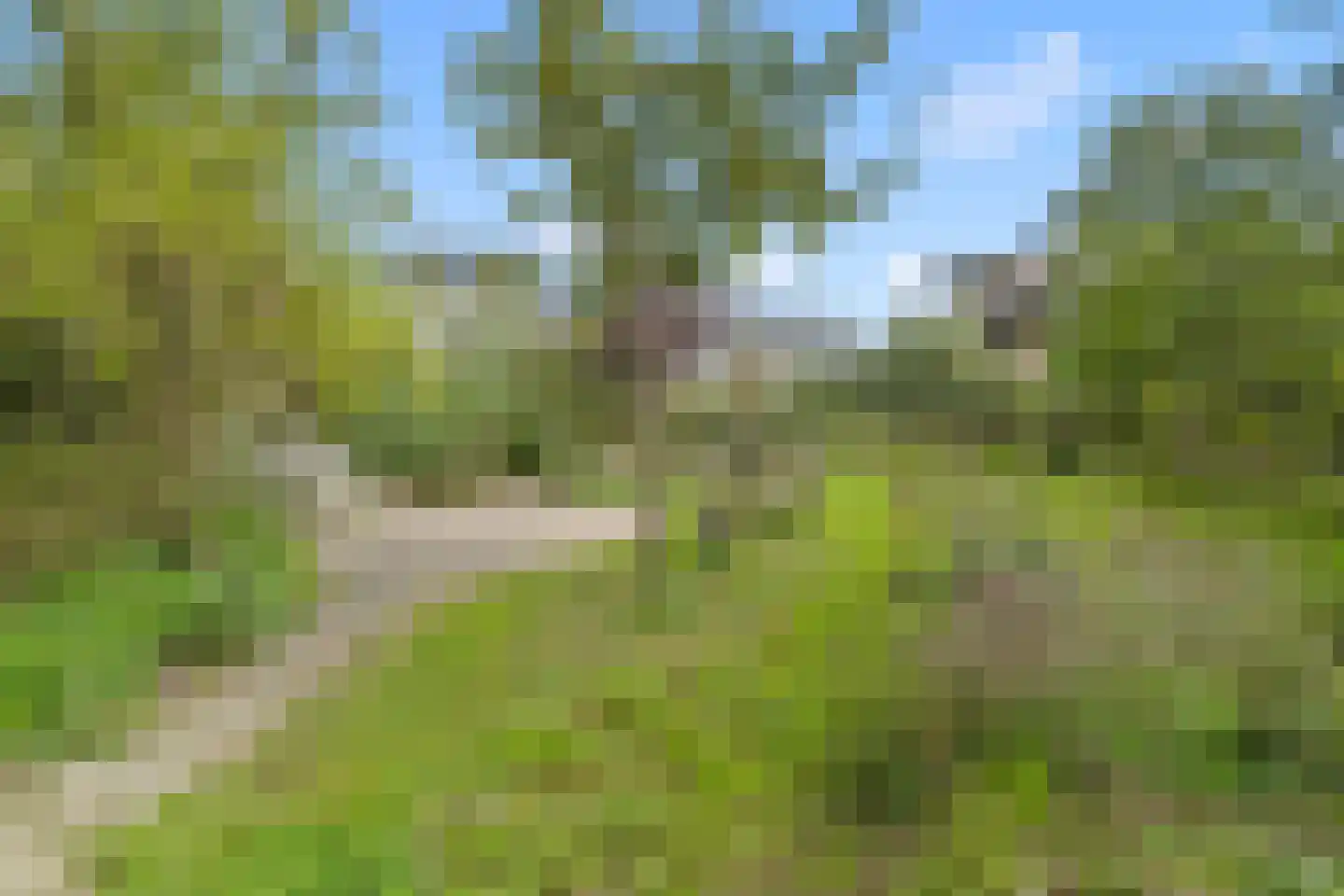 Ebbenhout 12 Houten thumbnail 21
