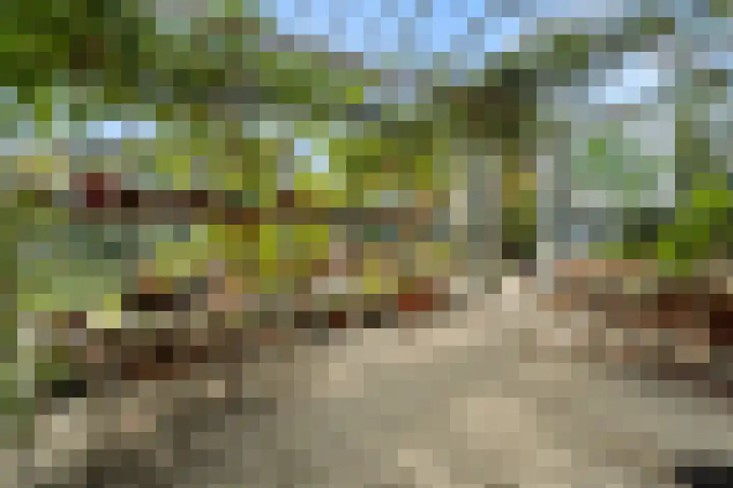 Ebbenhout 12 Houten thumbnail 26