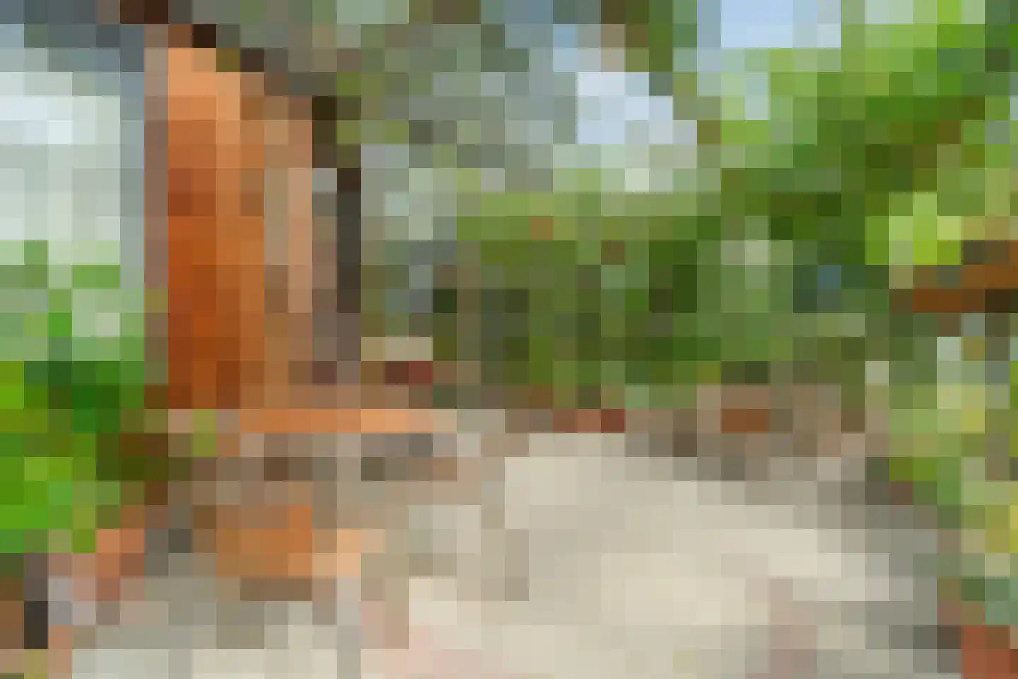 Ebbenhout 12 Houten thumbnail 27