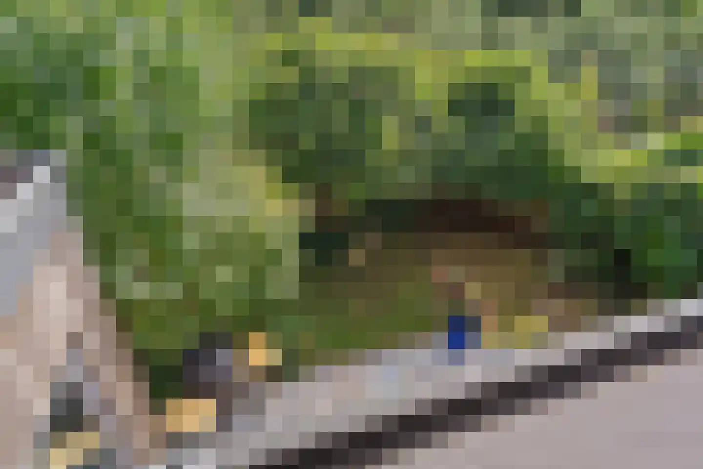 Ebbenhout 12 Houten thumbnail 30