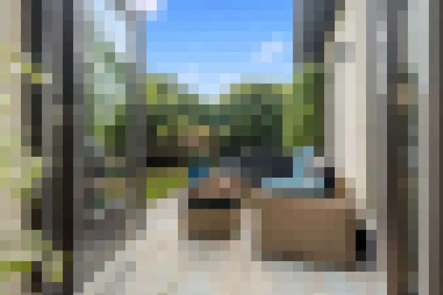 Ebbenhout 12 Houten thumbnail 4