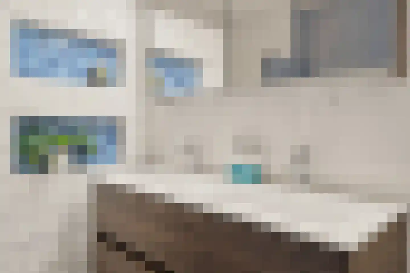 Ebbenhout 12 Houten thumbnail 41