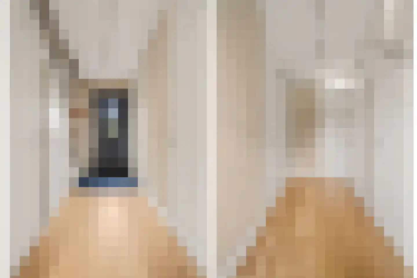 Ebbenhout 12 Houten thumbnail 43