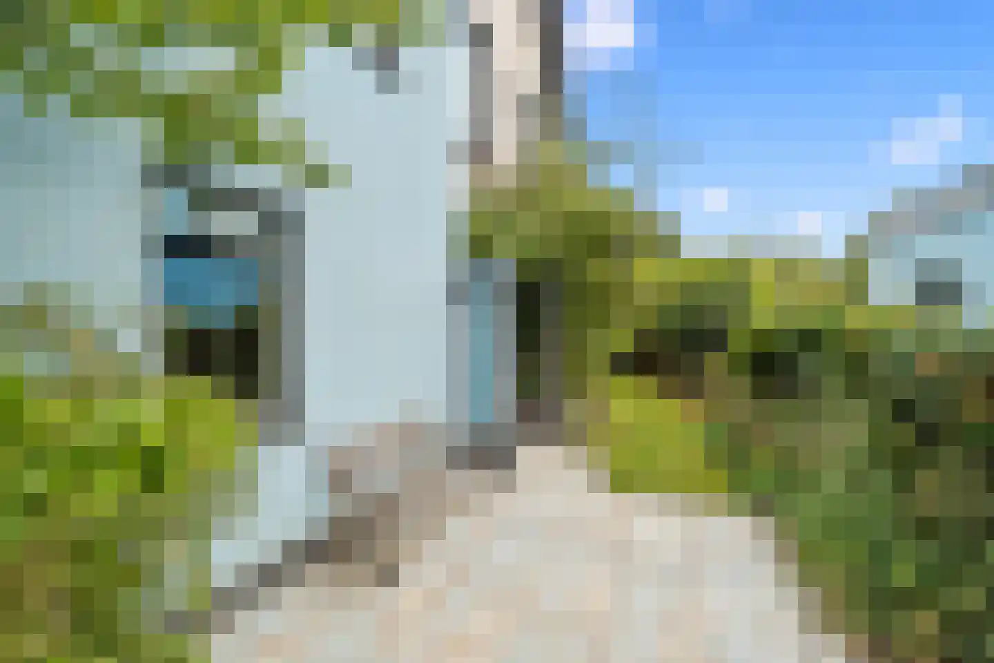 Ebbenhout 12 Houten thumbnail 46