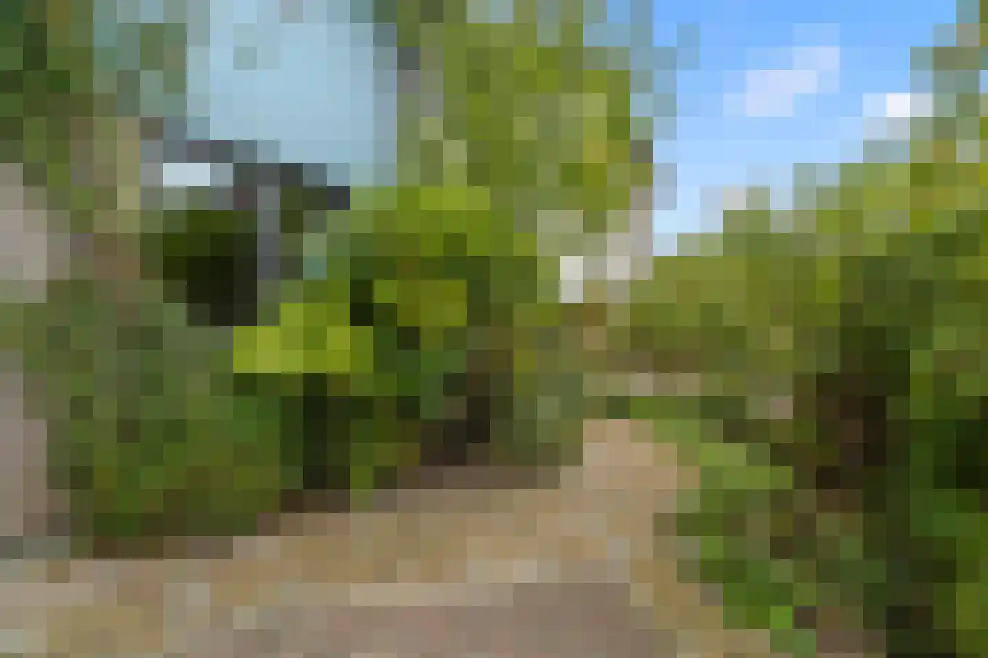 Ebbenhout 12 Houten thumbnail 48
