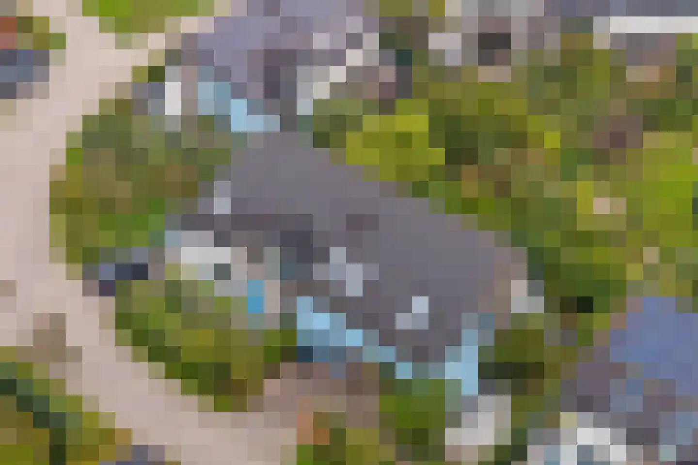 Ebbenhout 12 Houten thumbnail 50