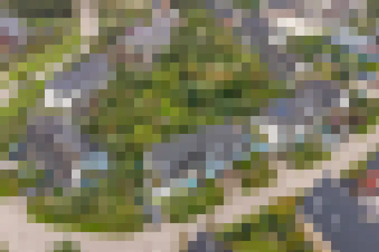 Ebbenhout 12 Houten thumbnail 53