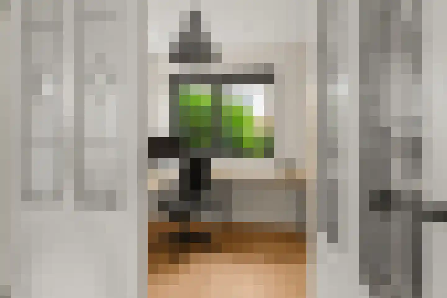 Ebbenhout 12 Houten thumbnail 7