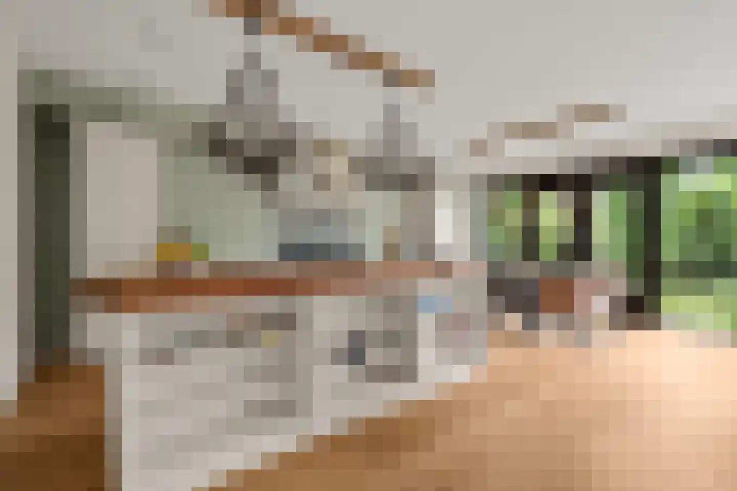 Ebbenhout 12 Houten thumbnail 9