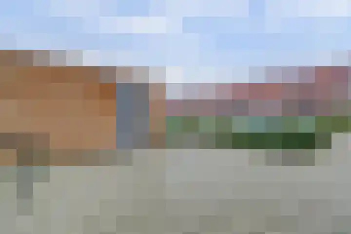 Ebbenhout 38 F Waddinxveen thumbnail 34