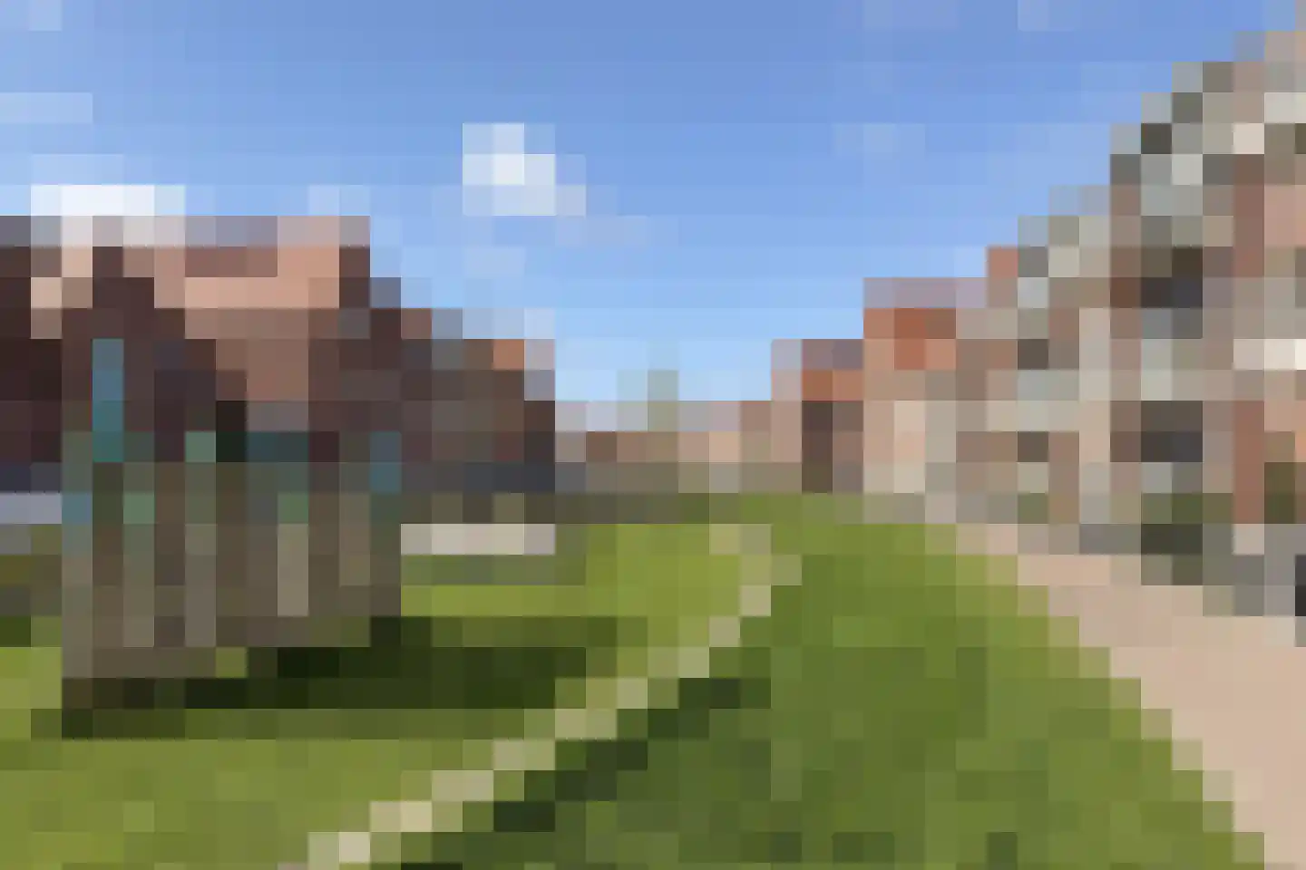 Ebbenhout 40 C Waddinxveen thumbnail 24