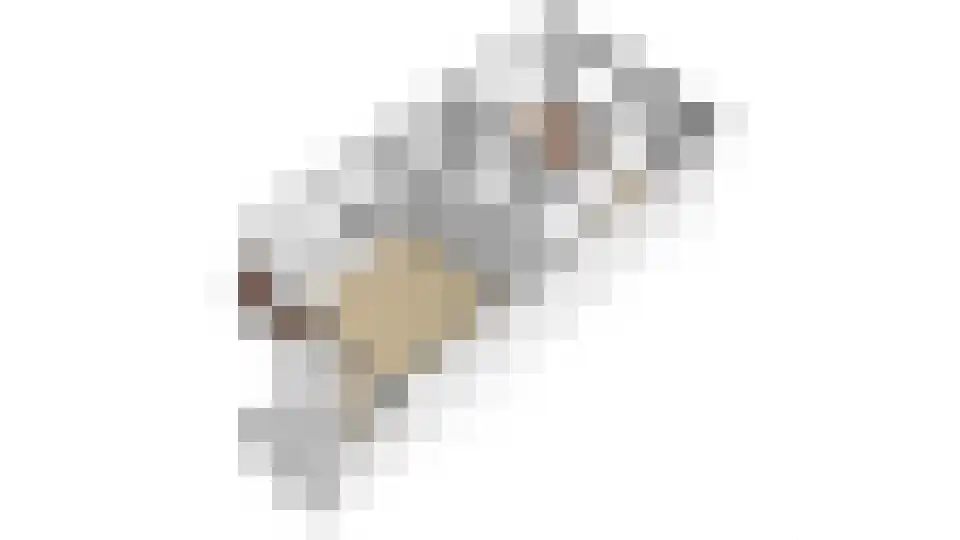 Ebbenhout 40 C Waddinxveen thumbnail 26
